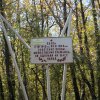 Шапшугская долина место подвига и захоронения Героя Газдиева